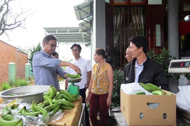 Sáng lên hy vọng mô hình trồng chuối Laba xuất khẩu